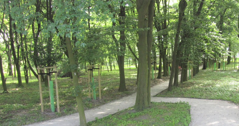 Rewaloryzacja zabytkowego parku w Kotlinie